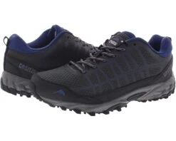 Pacific Mountain Dasher